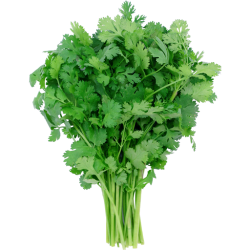 Coriander Bunch