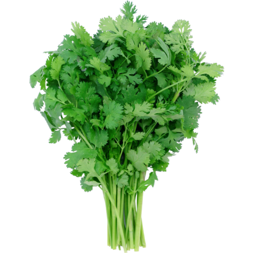 Coriander Bunch