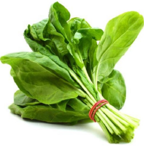 Spinach Bunch