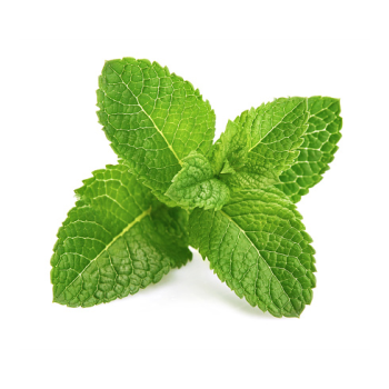 Fresh Mint 50g