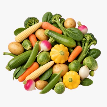 Celery