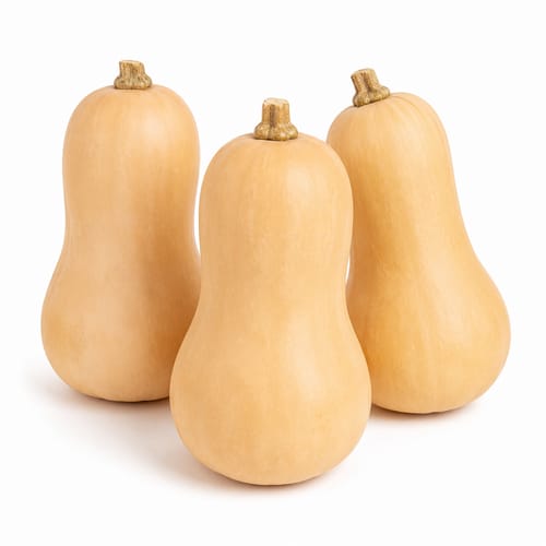 Butternut per Kg