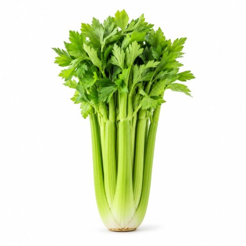 Celery