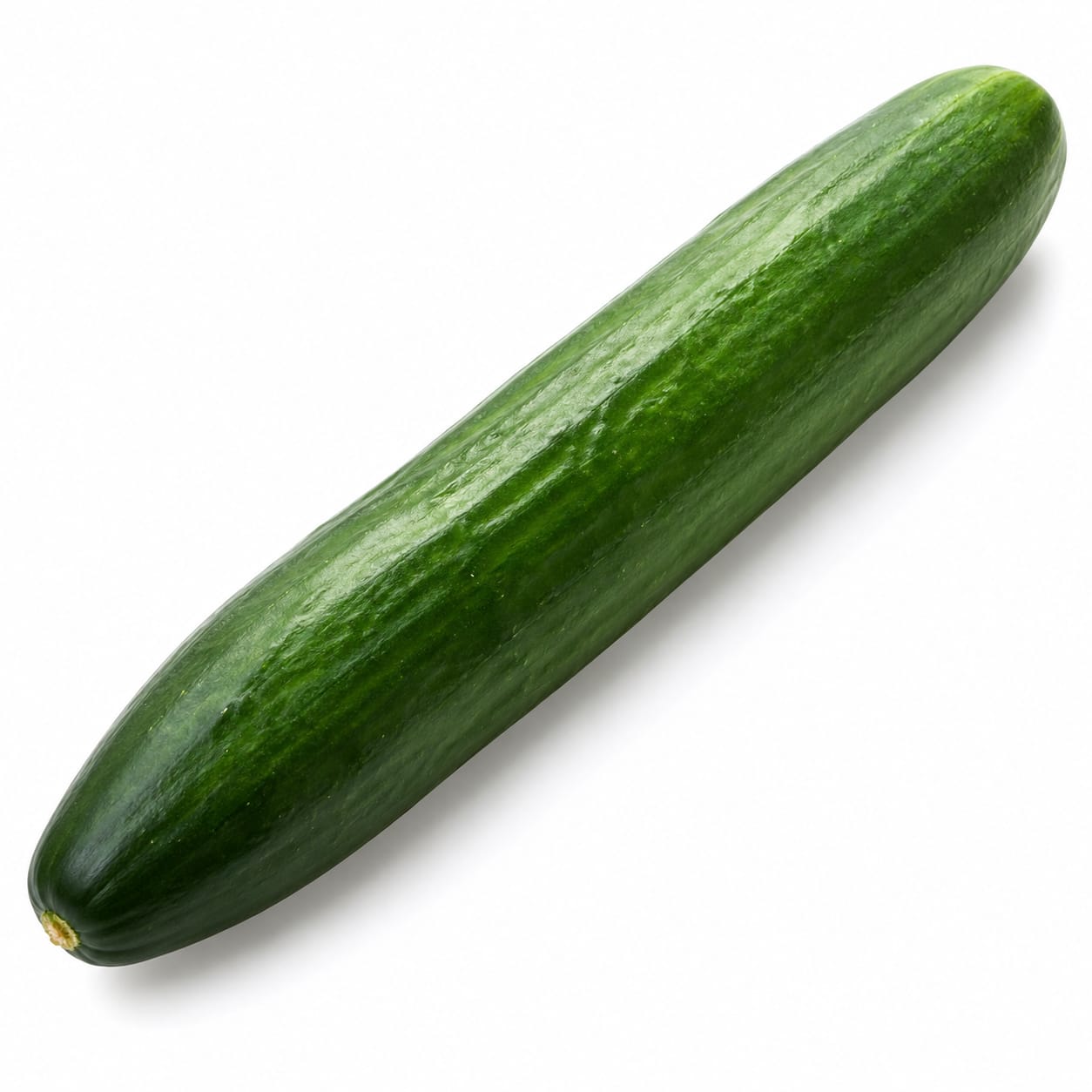 Cucumber